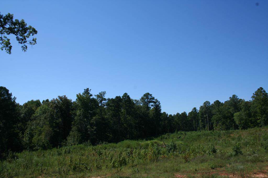 Lot E Dozier Road - Photo 1