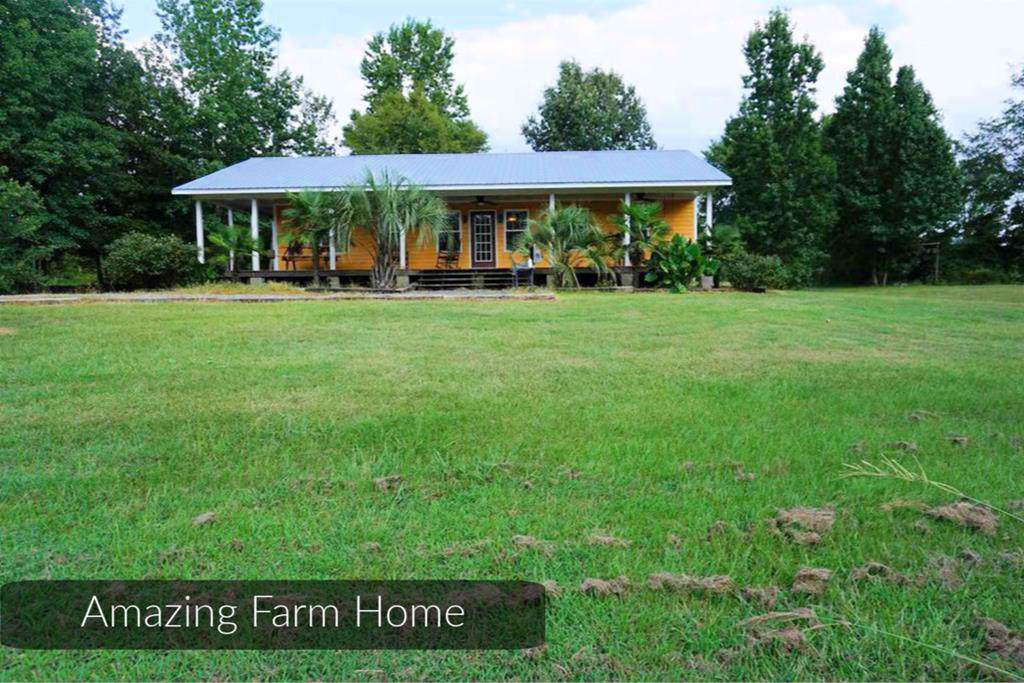 561 Old Wadley Road - Photo 1