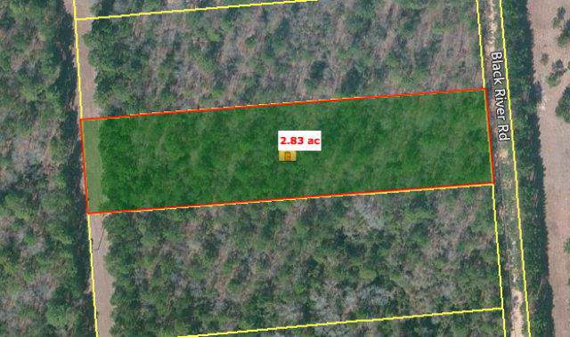 LOT 15 Black River Road - Photo 1
