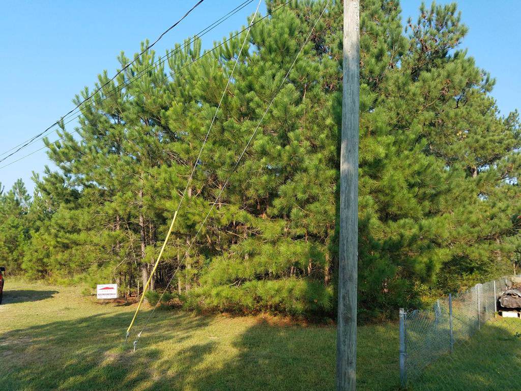 4668 Jessie Road - Photo 1