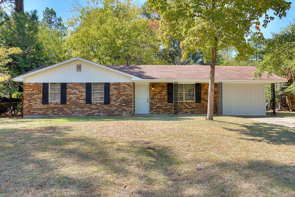 218 Palmetto Drive - Photo 1