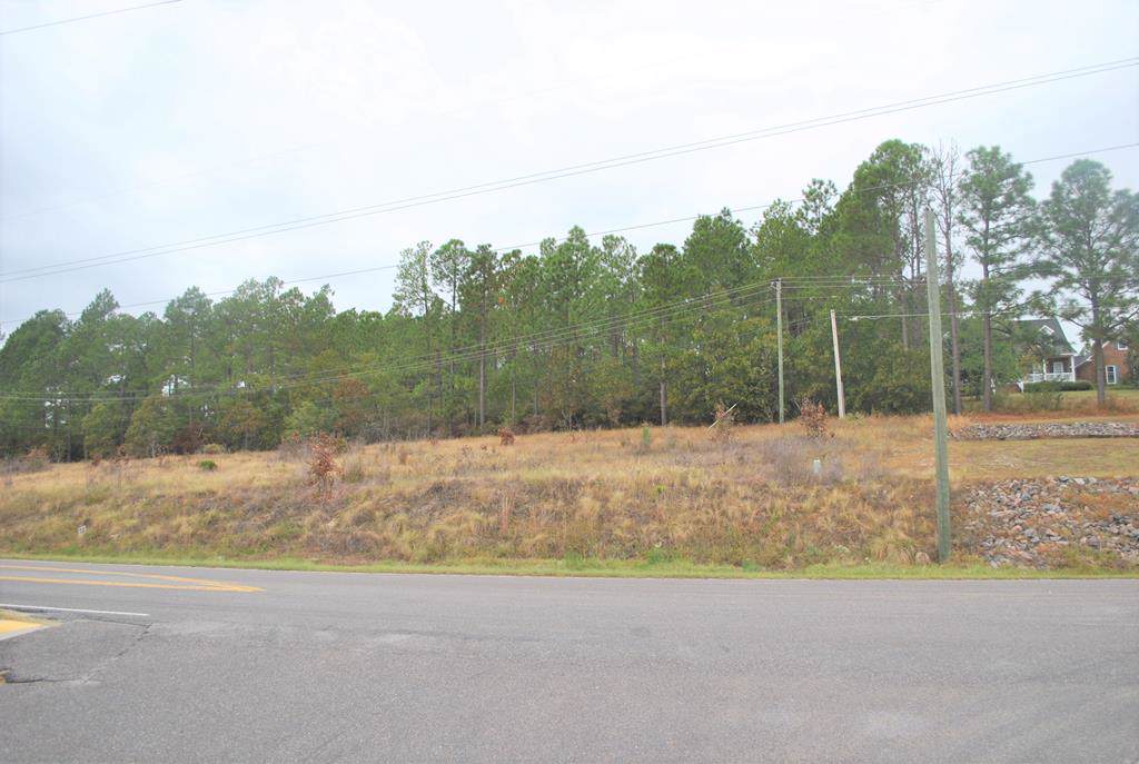 0 Mustang Drive - Photo 1