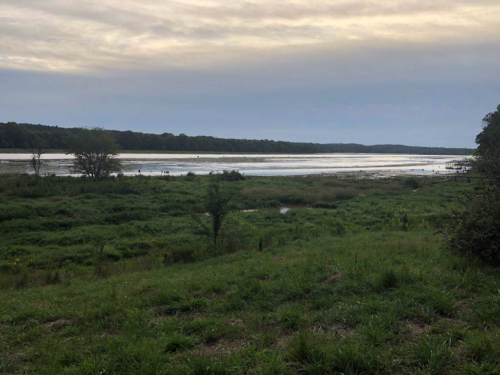 3951 Mulikin Road - Photo 1