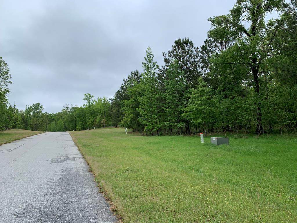 1121 North Pointe Drive - Photo 1