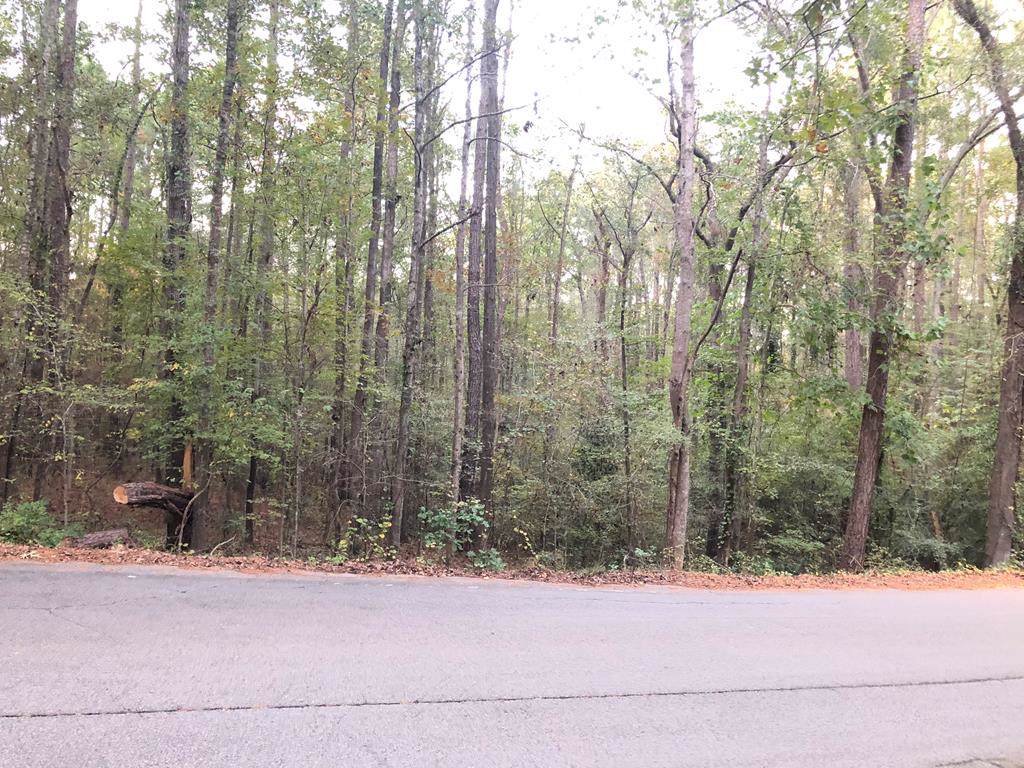 1513 Stevens Creek Road - Photo 1