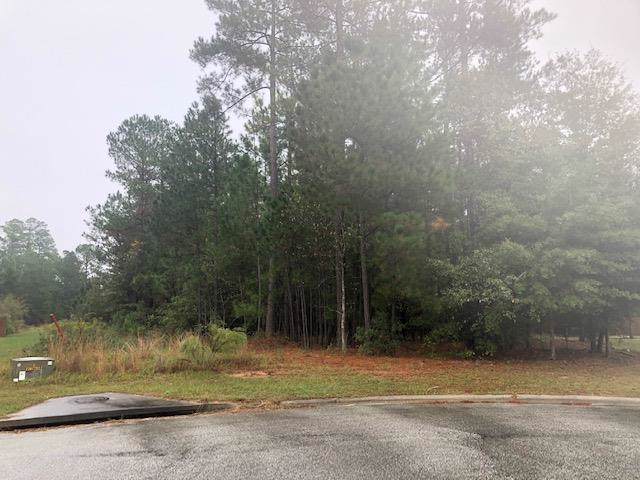 3210 Blockers Branch - Photo 1