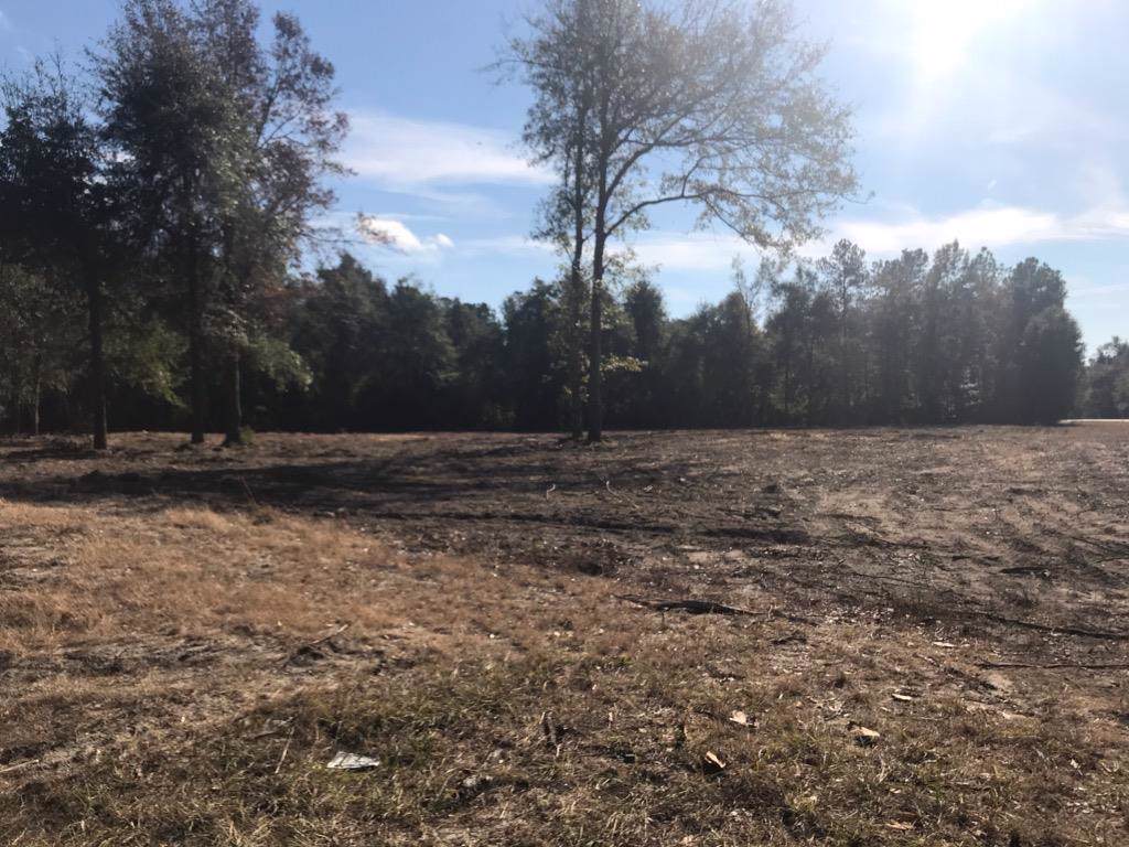 0 Charleston Hwy - Photo 1