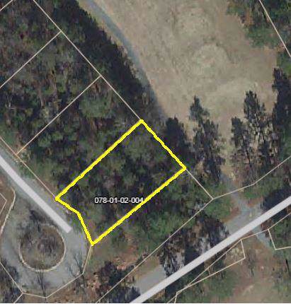 LOT 4 Golf Court - Photo 1