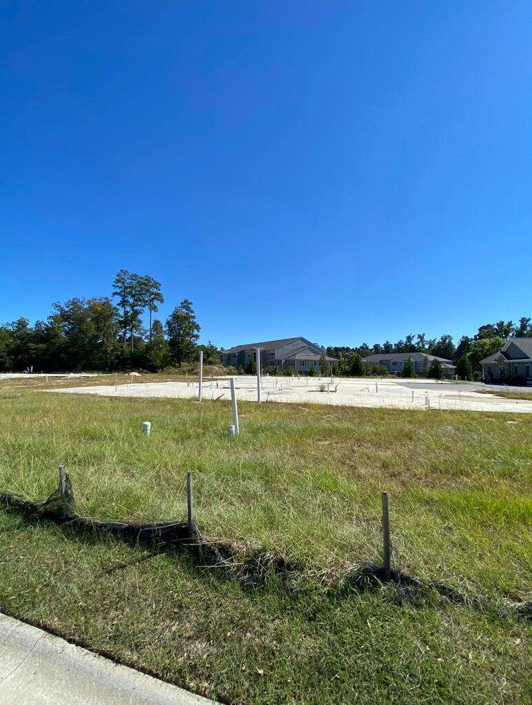 1133 Brookstone Way - Photo 1