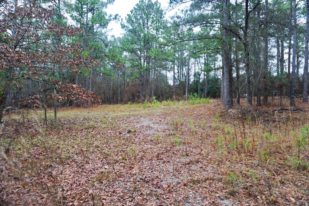 652 Al Dempsey Road - Photo 1