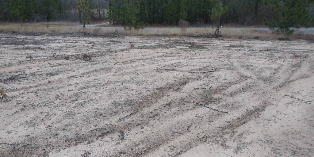 Hwy 278 Williston Road - Photo 1 Hwy 278 Williston Road - Photo 1