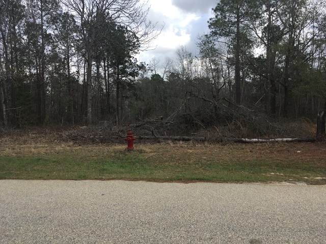 3031 Old Lodge Road - Photo 1
