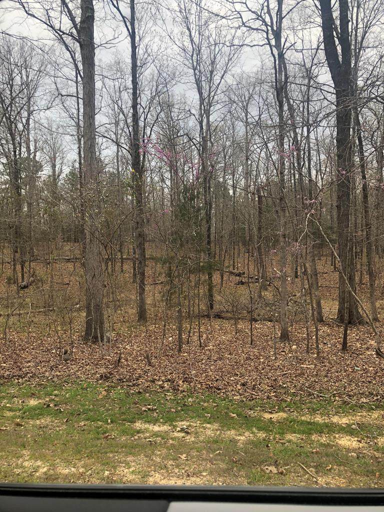 0 Plantation Lane - Photo 1