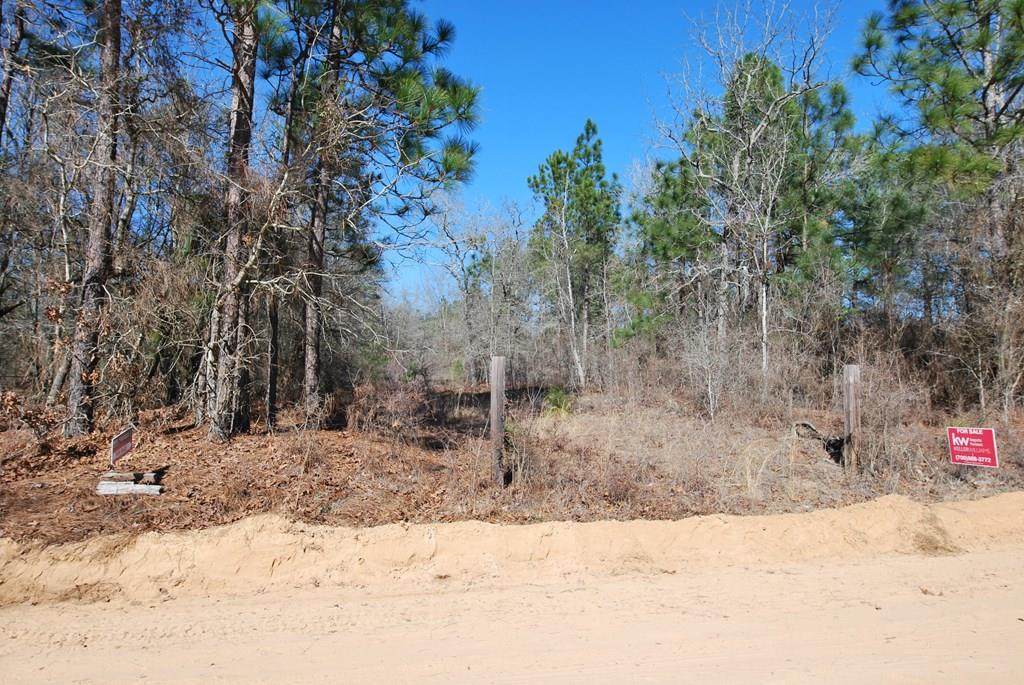 775 Hutto Pond Road - Photo 1