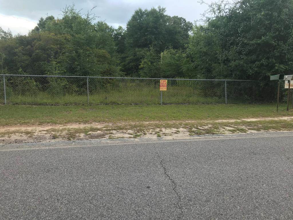1123 Piney Grove Road - Photo 1