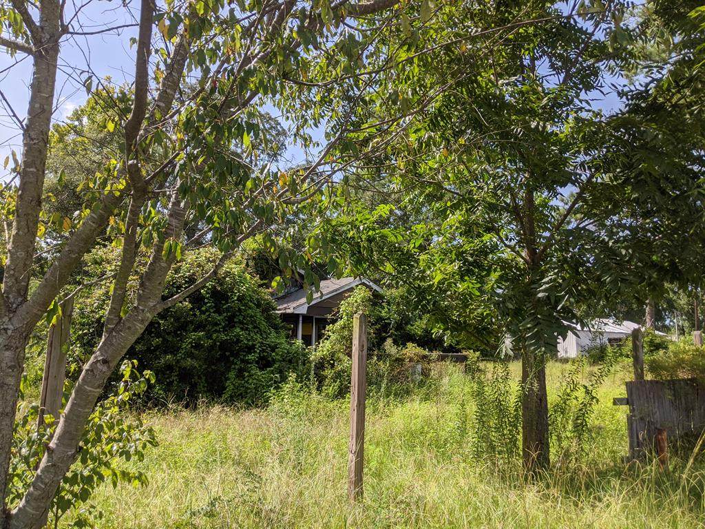 1822 Belmont - Photo 1