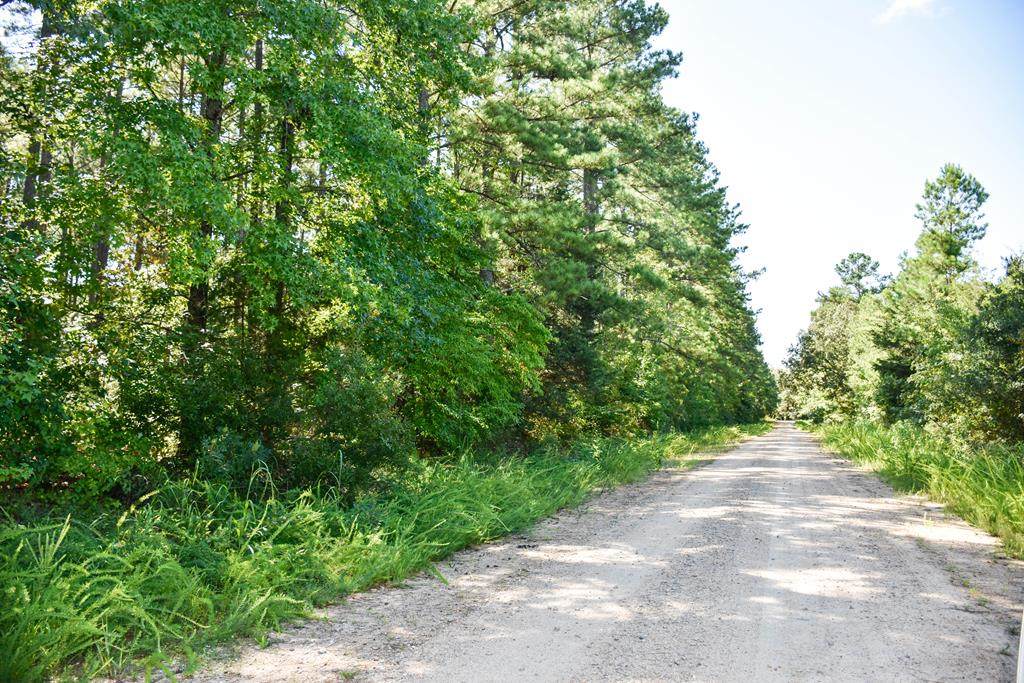 00 Drinkard Road - Photo 1