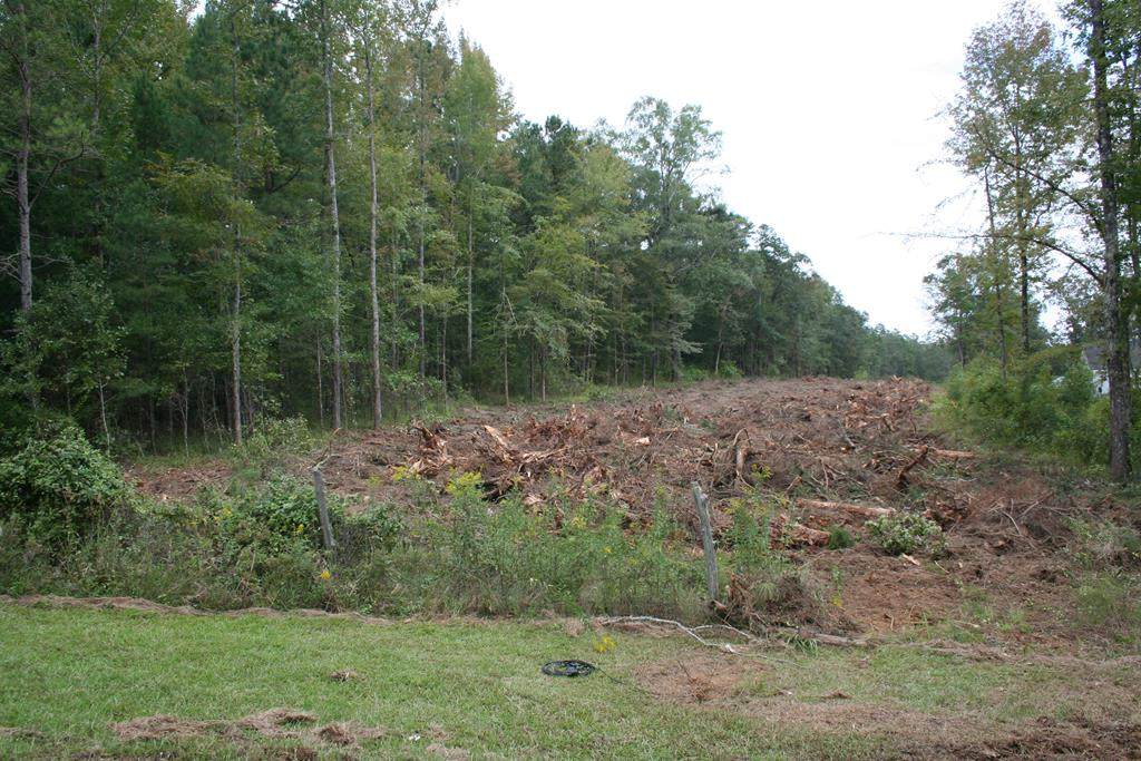 Lot 9 Rosemont Road - Photo 1