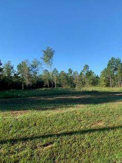 301 Nell Drive - Photo 1