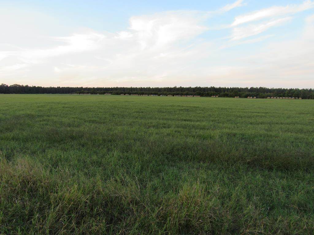 0 J B Swartz Road - Photo 1