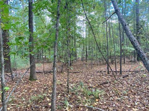 Lot 27 Shenandoah Drive - Photo 1
