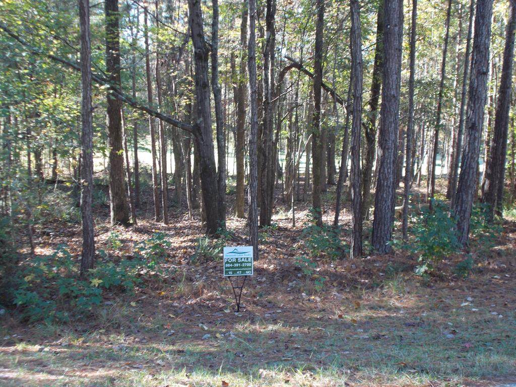 0 Elgin Lane - Photo 1