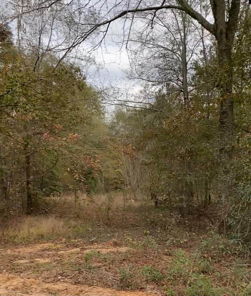 537 Ramsey Road - Photo 1