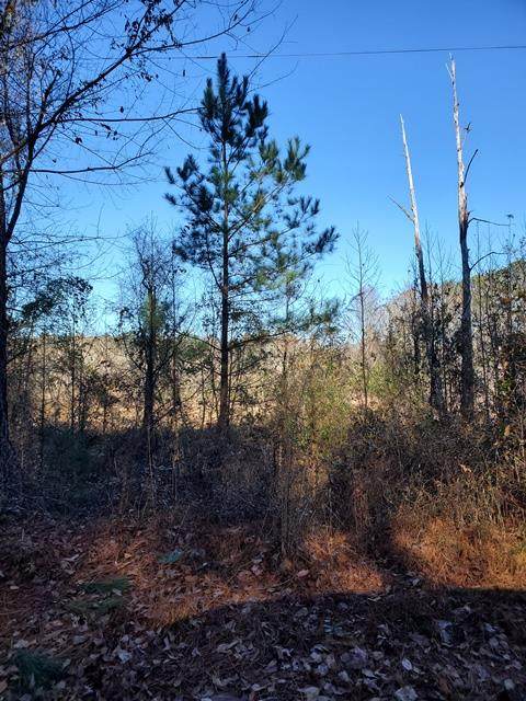 TBD Carolina Springs Spur - Photo 1