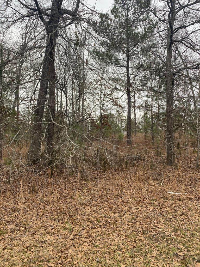 Lot 12 Pointe Shores - Photo 1