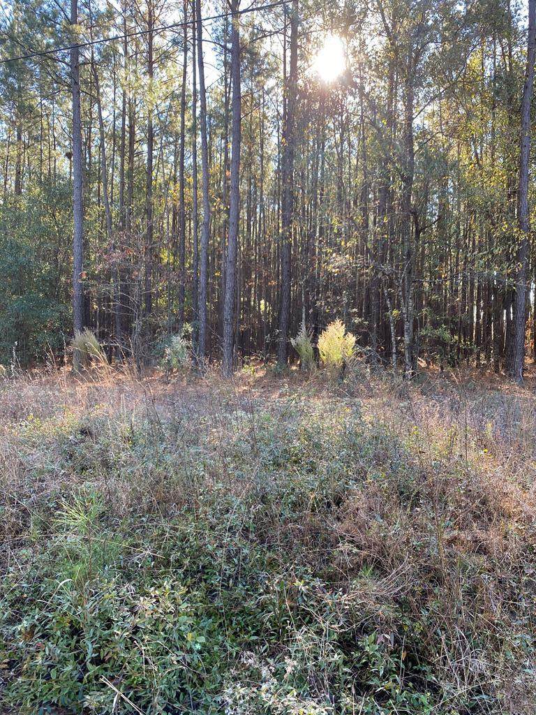 440 Bent Knee Road - Photo 1