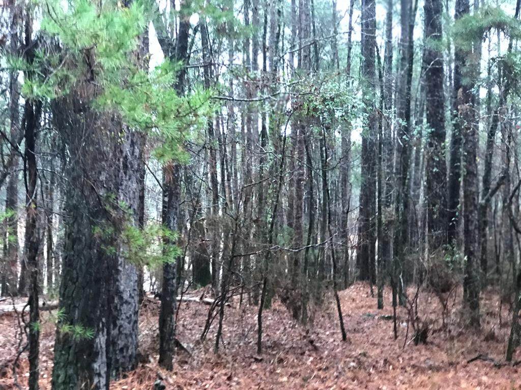 167 Christmas Drive - Photo 1