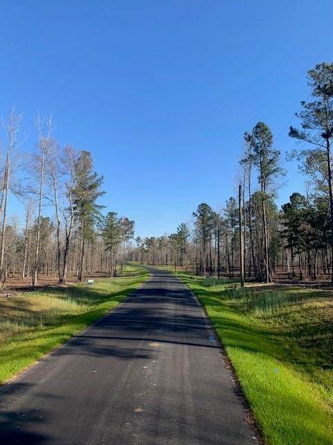 305 Shagbark Way - Photo 1