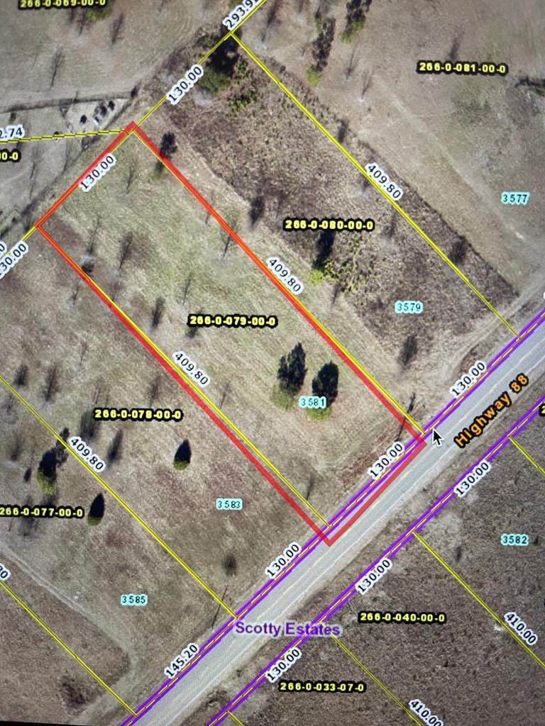 3581 Highway 88 - Photo 1