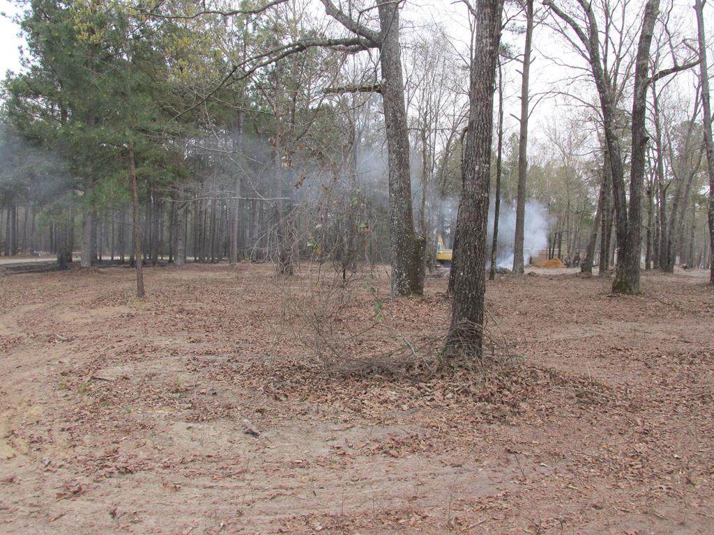 0 Fox Berry Drive - Photo 1