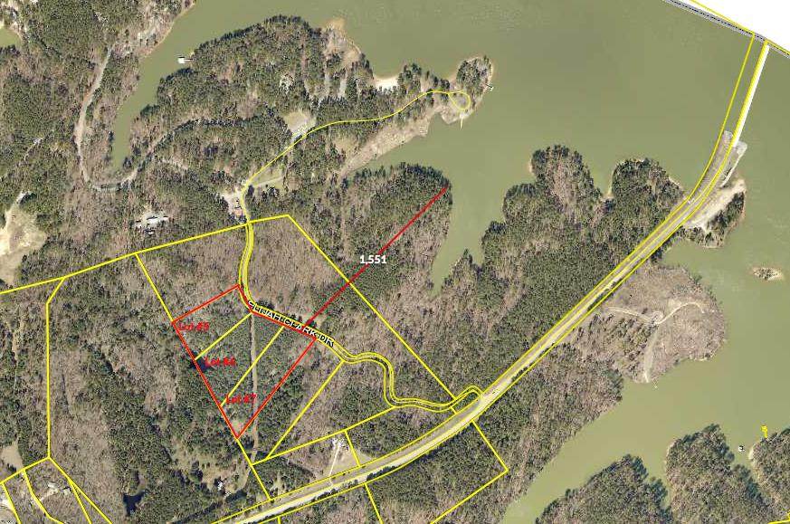 Lots 5-7 Elijah Clark Drive - Photo 1