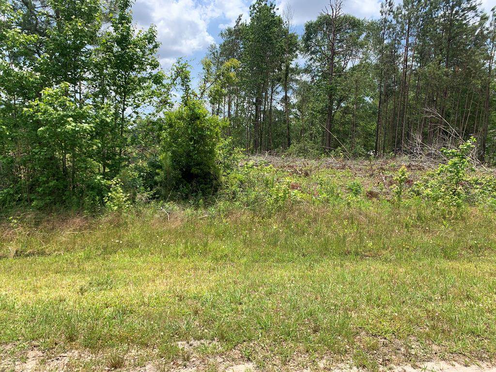 Lot 48 Greenhill Drive - Photo 1