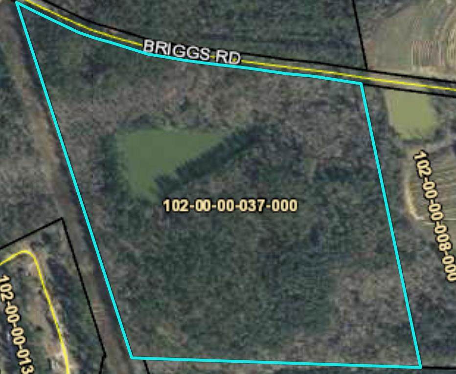 0 Briggs Road - Photo 1