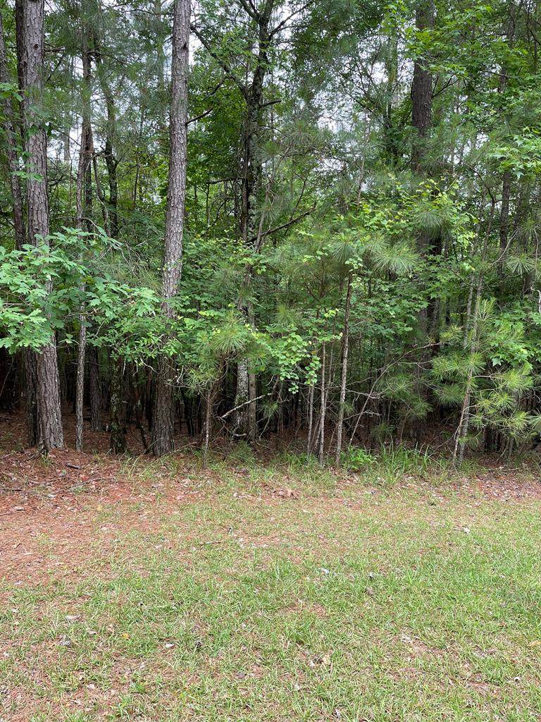 L3B66 Crescent Drive - Photo 1