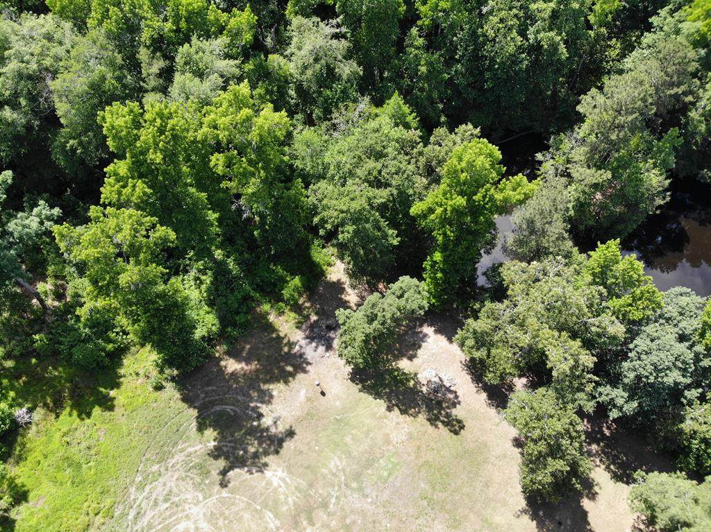 203 N Belair Road - Photo 1