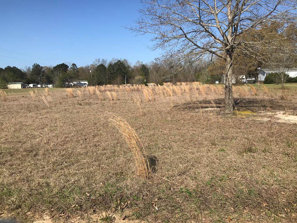 4786 Brannen Road - Photo 1