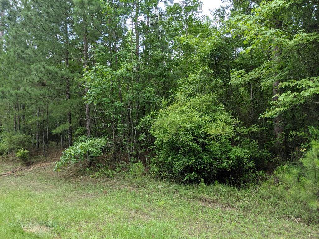 Lot 1 Indian Road - Photo 1