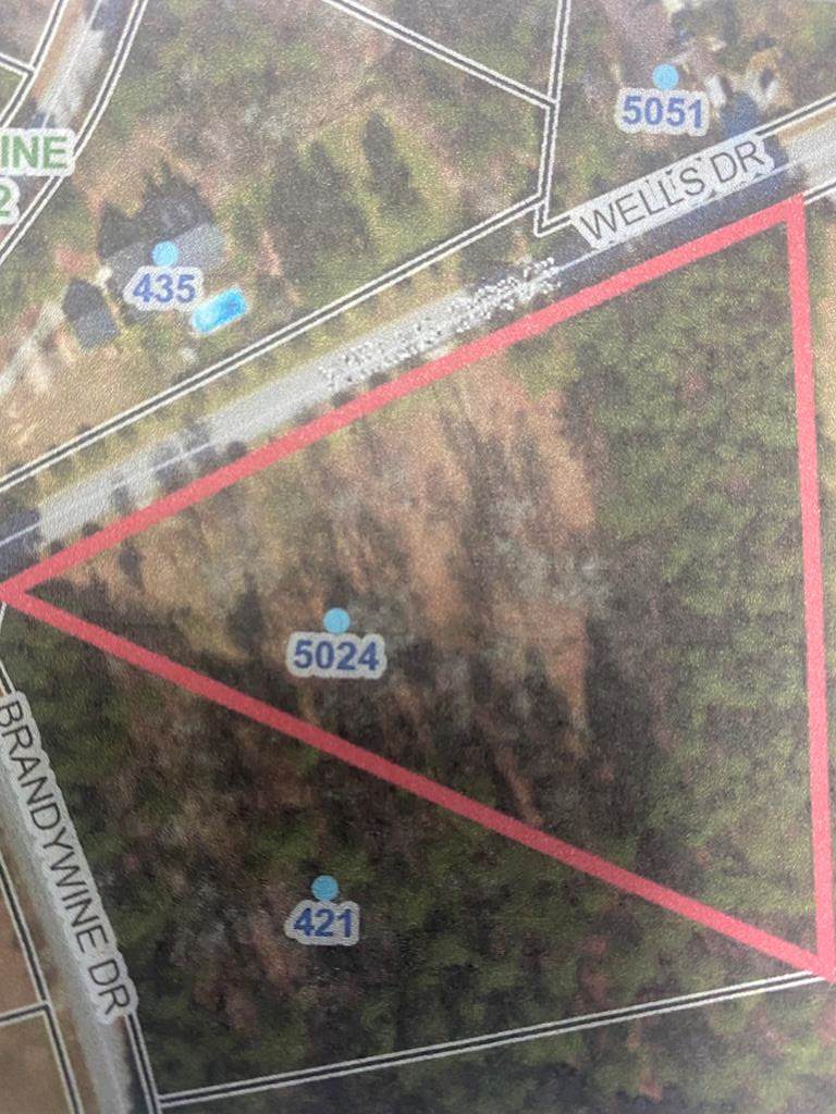 5024 Wells Drive - Photo 1