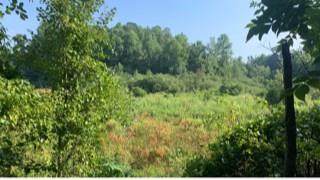 00 Carolina Springs Spur - Photo 1