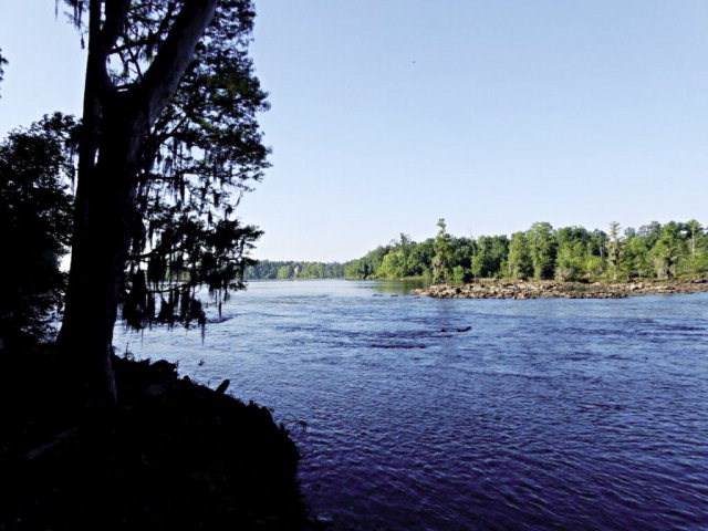 186 Altamaha Drive - Photo 1