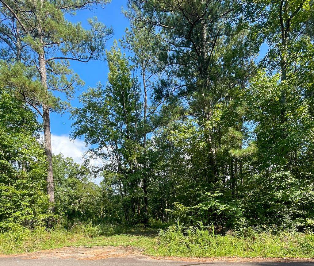 241 Deer Springs Road - Photo 1