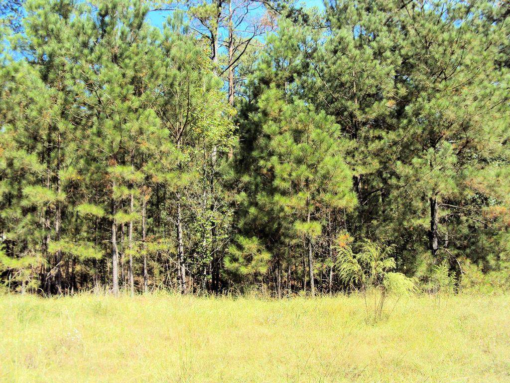 L5 B29 Ashland Drive - Photo 1