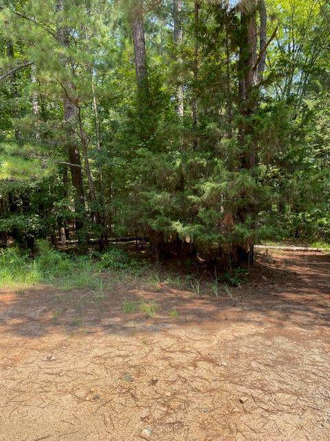 65&67 Ponderosa Drive - Photo 1