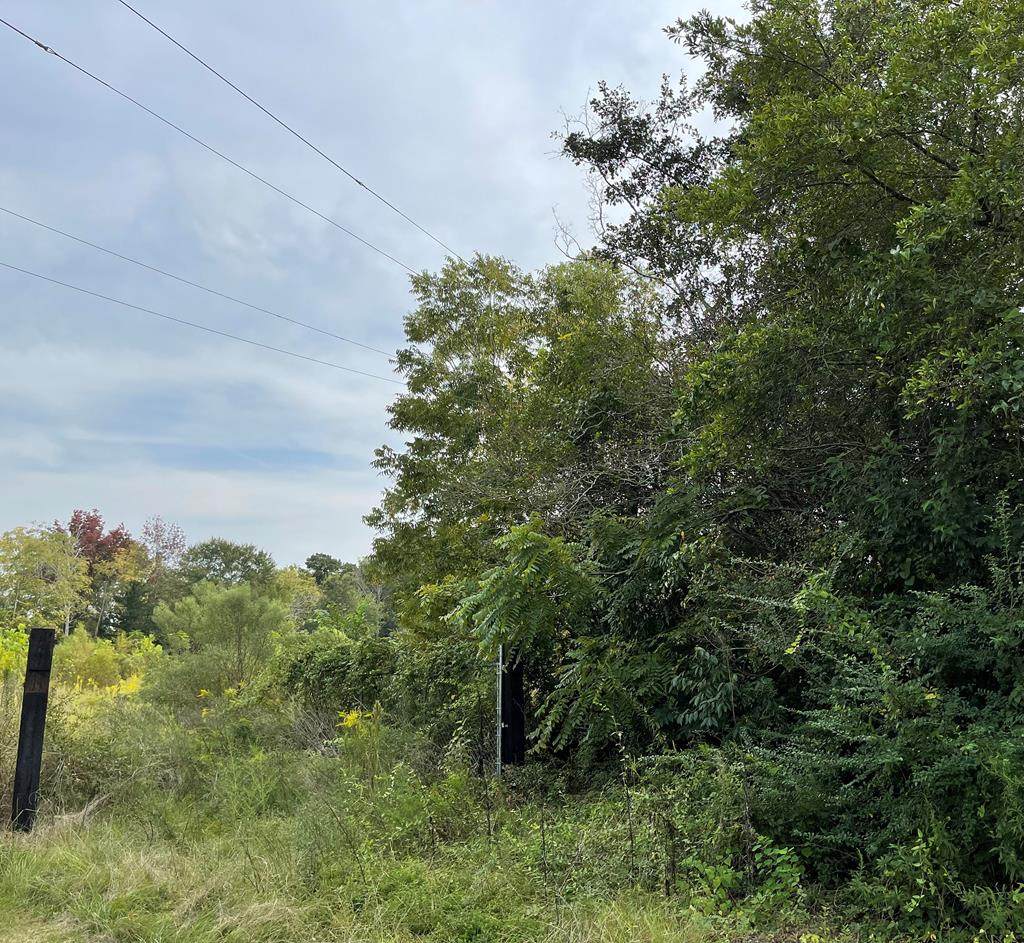 1990 Scott Road - Photo 1