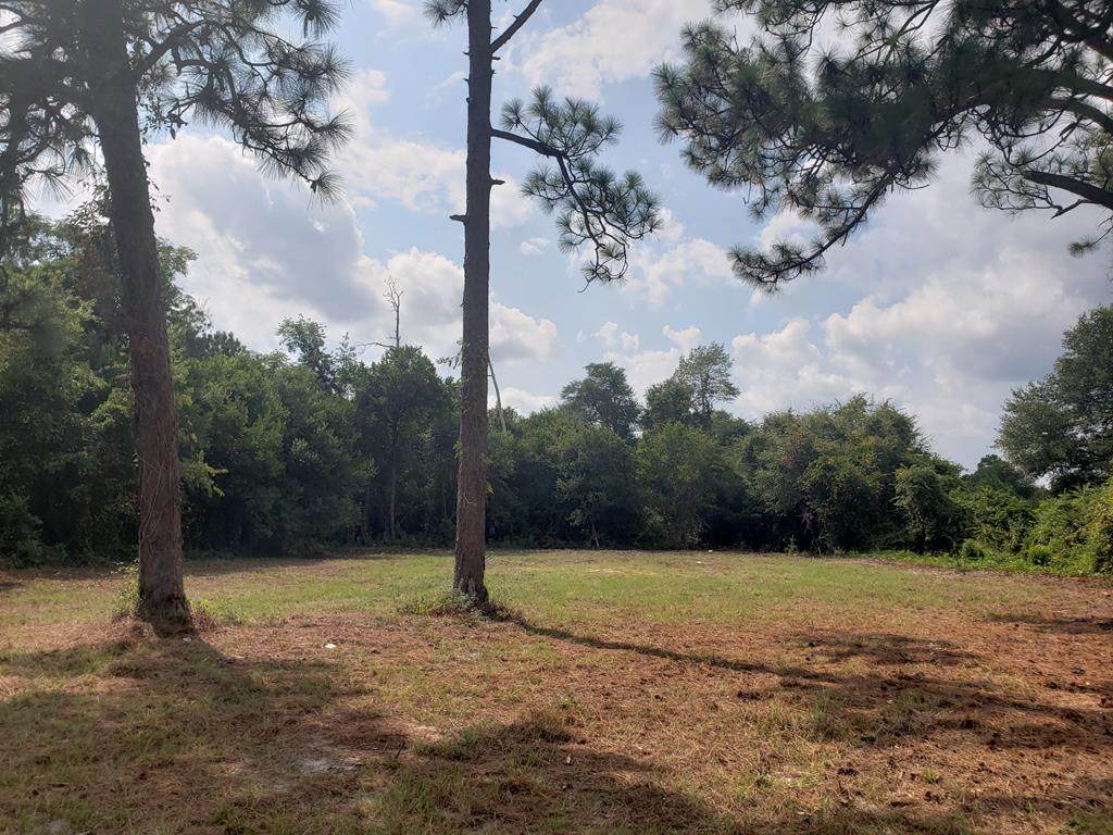 4757 Mike Padgett Highway - Photo 1