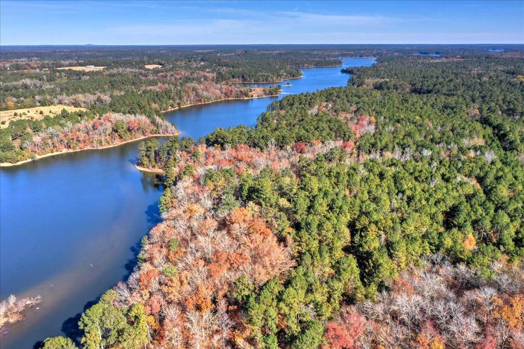 125.9 Ac Ben Lane - Photo 1